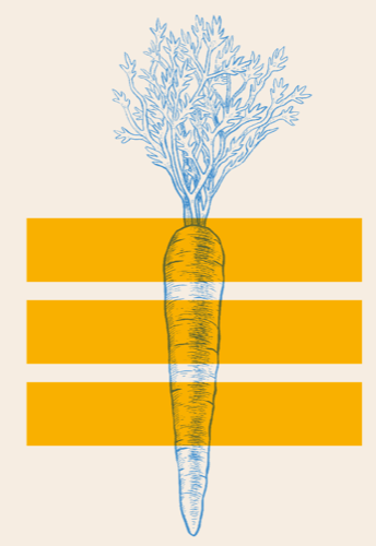 Carrot illustration